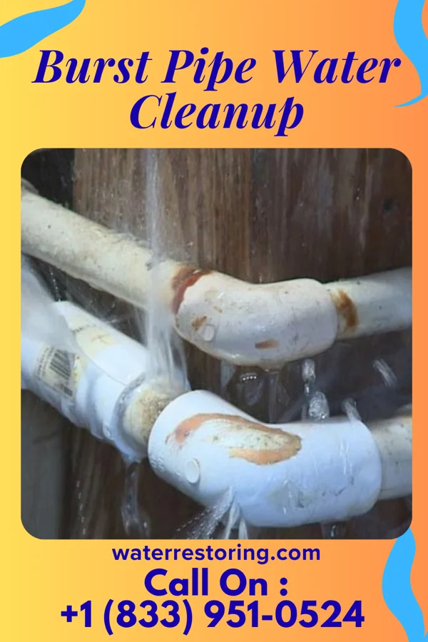 Burst Pipe Water Cleanup in Binghamton University, NY
