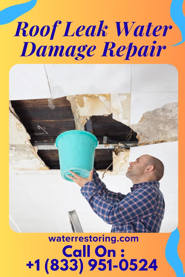 Roof Leak Water Damage Repair in Binghamton University, NY