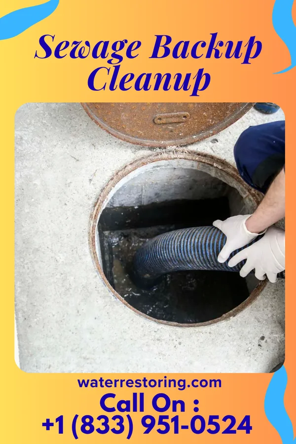 Sewage Backup Cleanup in Binghamton University, NY
