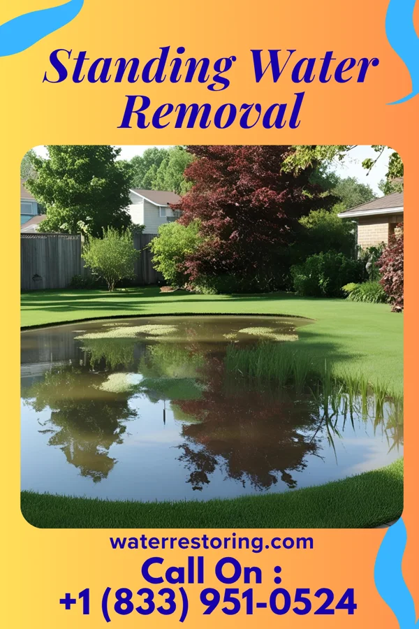 Standing Water Removal in Binghamton University, NY
